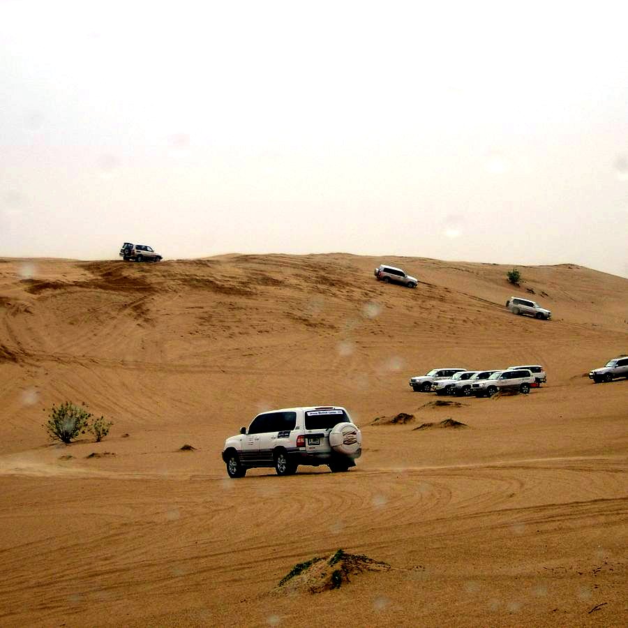 Convoy of 4x4 vehicles on a desert safari
